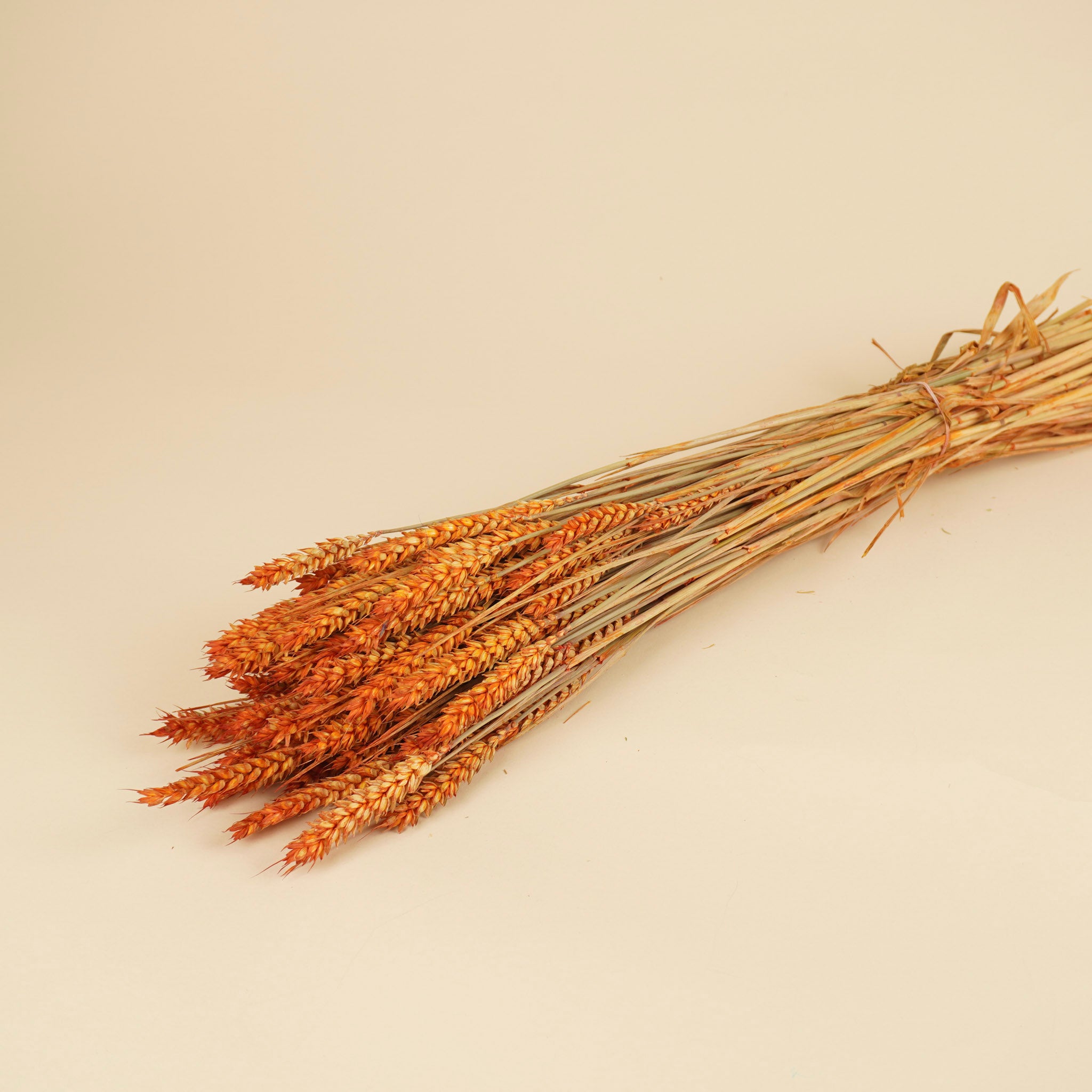 Dried wheat orange