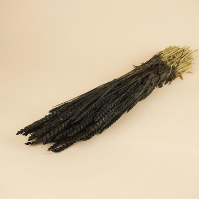 Blé séché noir
