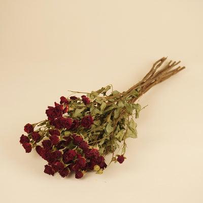 Dried dark red roses
