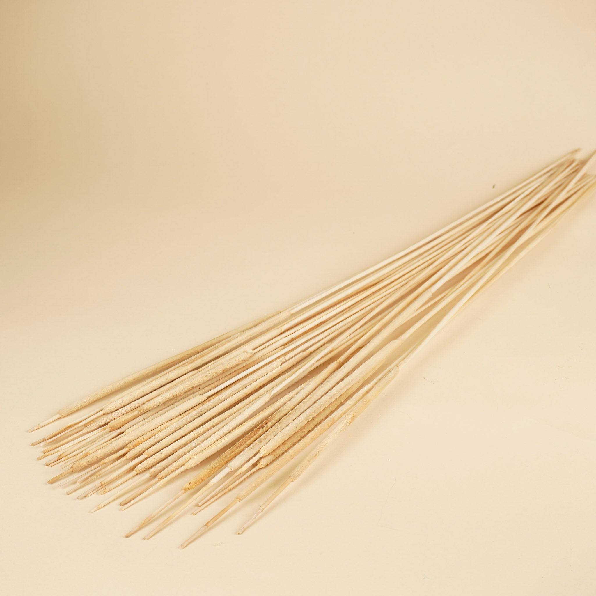 Typha Rietsiger eng und gebleicht (Lisdodde)