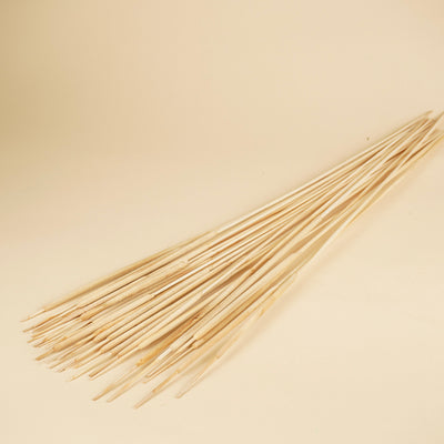 Typha Rietsiger étroit et blanchi (Lisdodde)