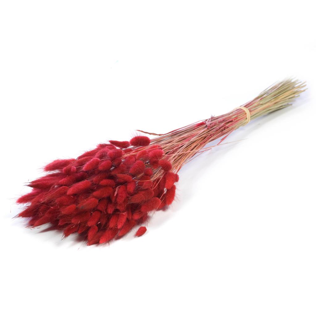 Botao Botton dunkelblau getrocknet