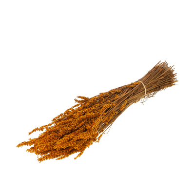 Botao Botton dunkelblau getrocknet