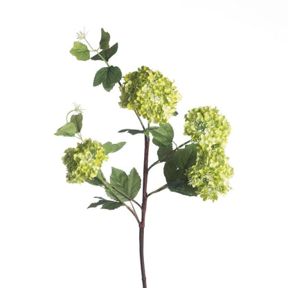 Zijde Viburnum Snowball  – Groen (75 cm)