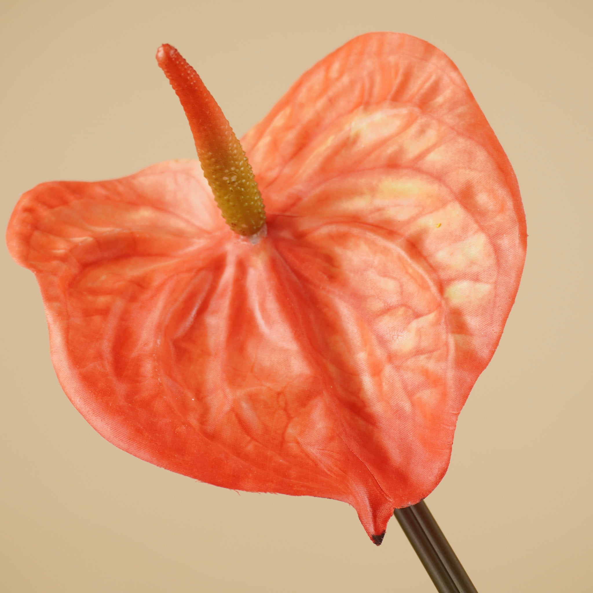 Anthurium en soie – Orange (65 cm)