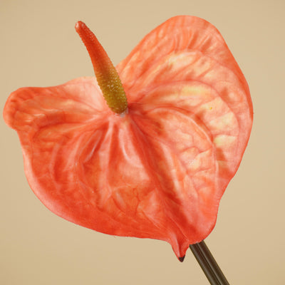 Anthurium en soie – Orange (65 cm)