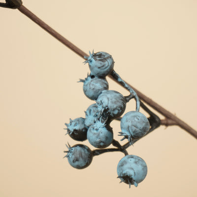 Zijde bessentak blauw