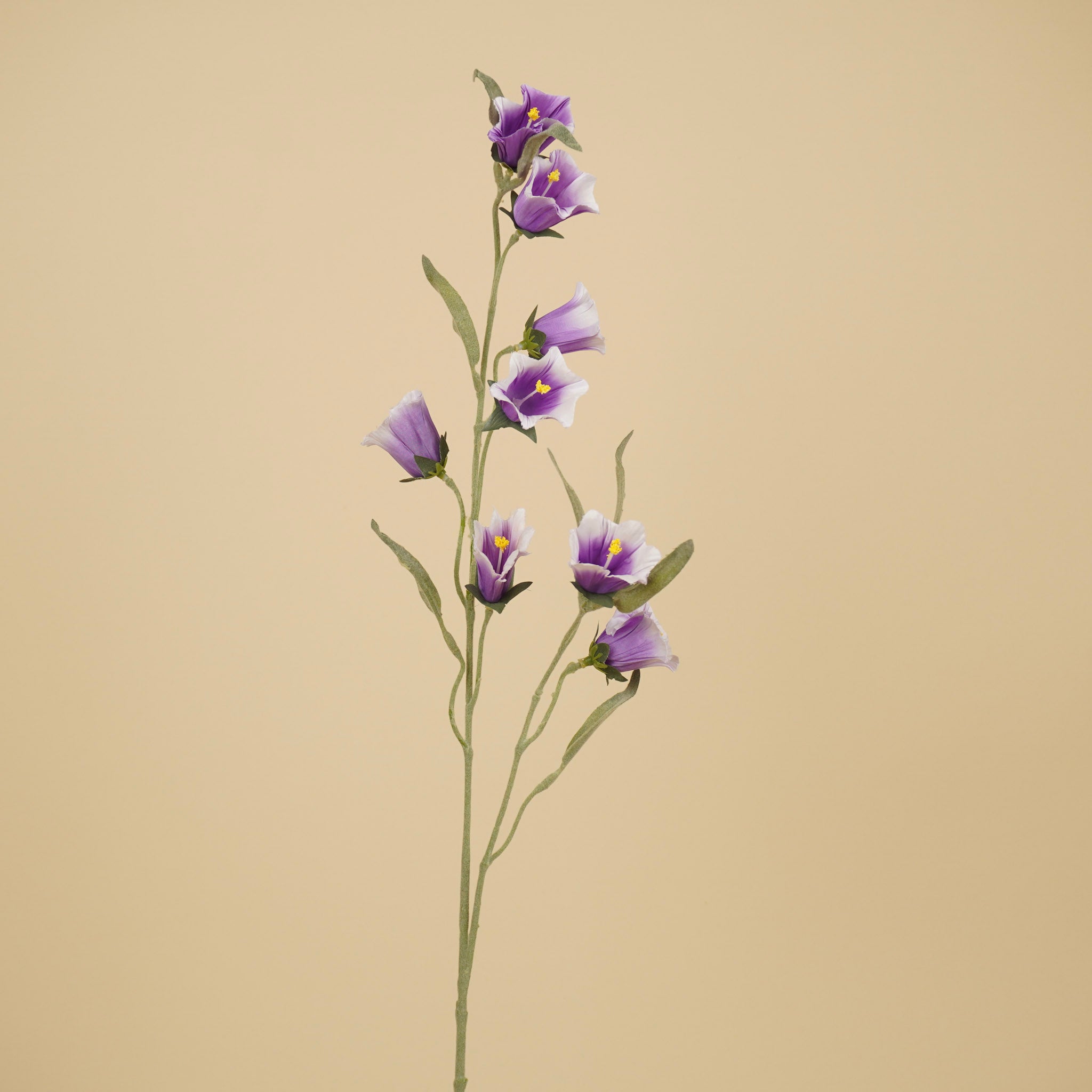 Branche de campanule soyeuse – Violette (80 cm)