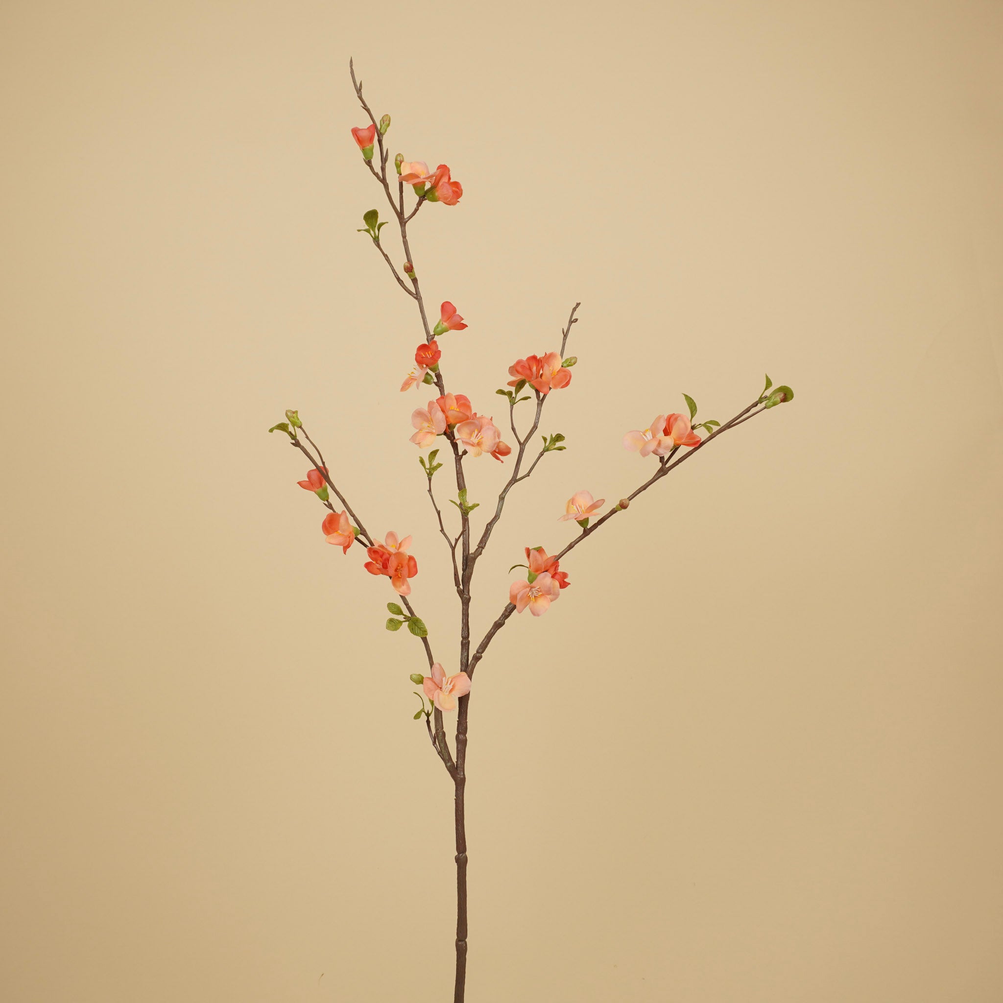 Branche de Chaenomeles en Soie – Rose Saumon & Pêche (81 cm)