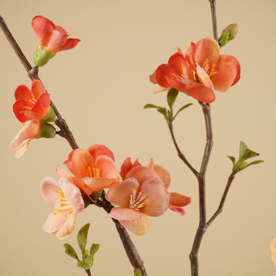 Branche de Chaenomeles en Soie – Rose Saumon & Pêche (81 cm)