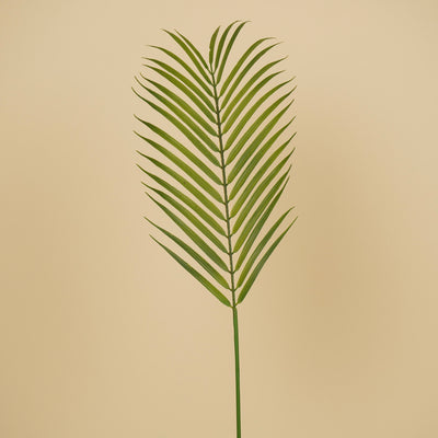 Zijde Chamaedorea – Groen (75 cm)