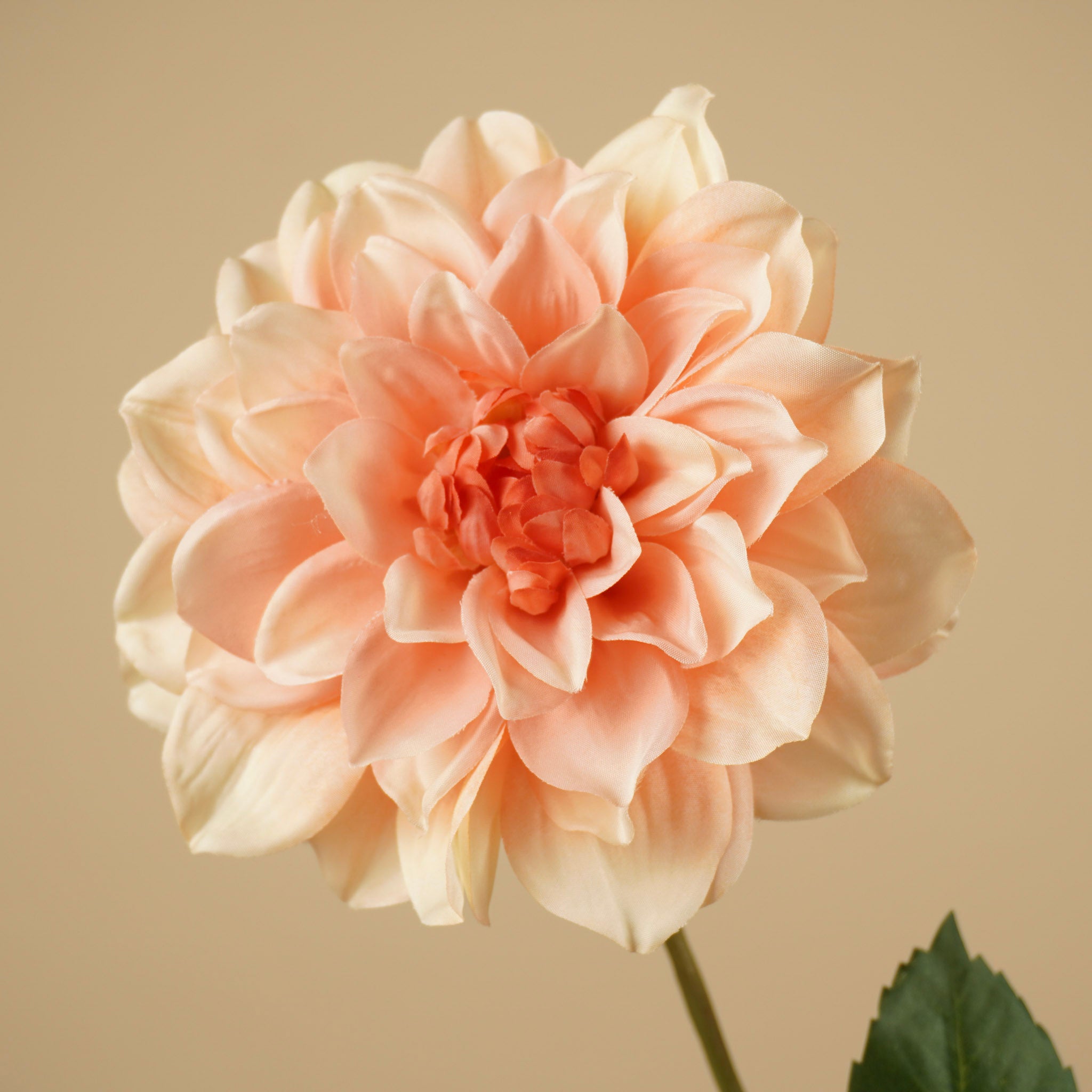 Dahlia de soie – Pêche (72 cm)