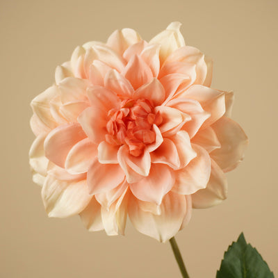 Dahlia de soie – Pêche (72 cm)