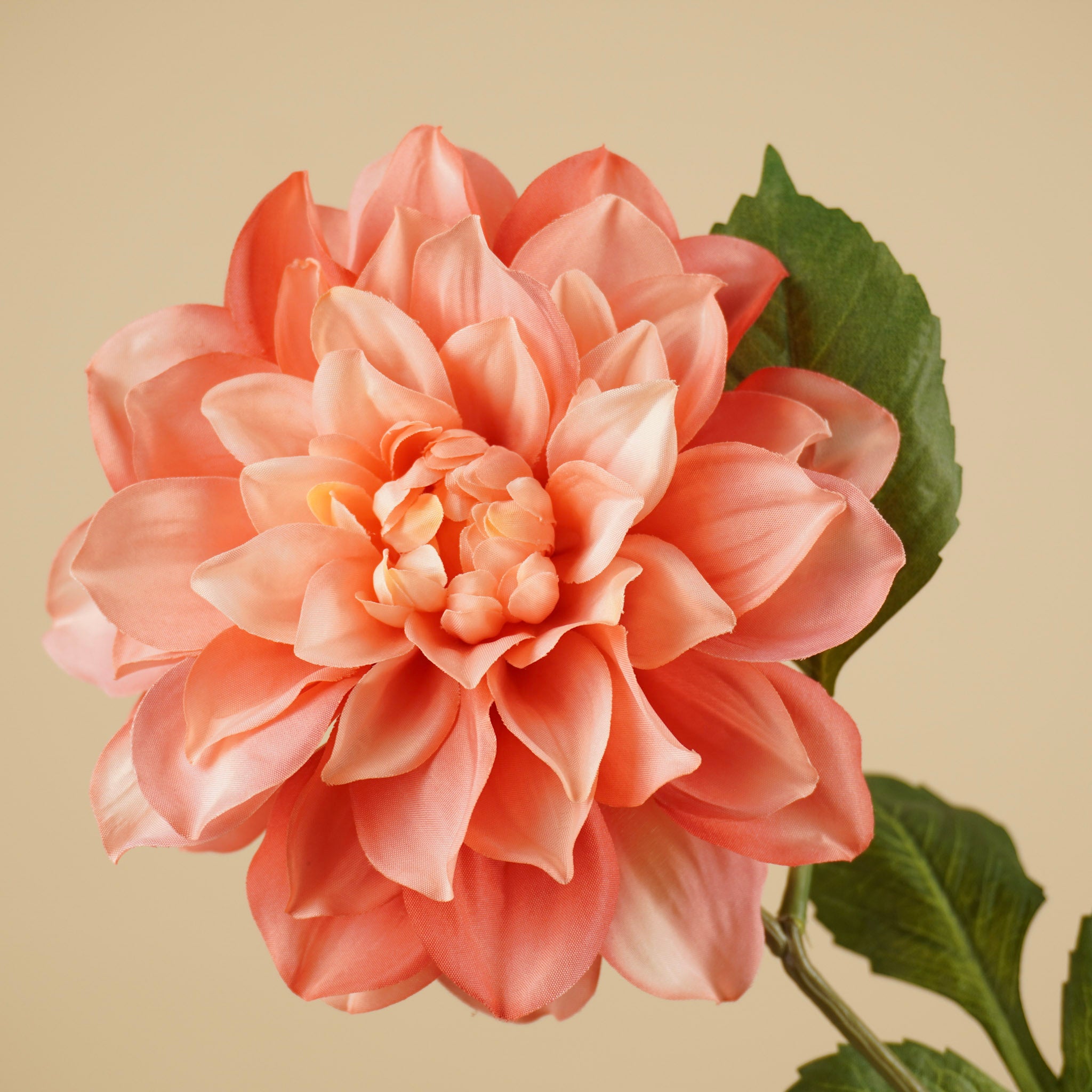 Dahlia de soie – Rose saumon (72 cm)