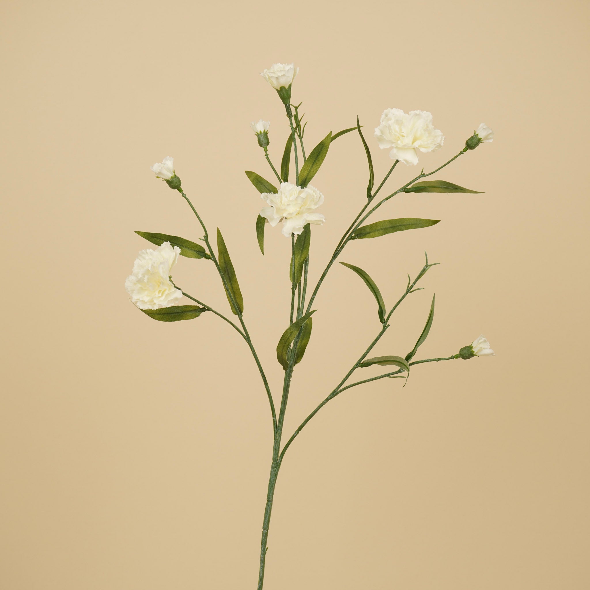 Œillet de soie – Crème (70 cm)