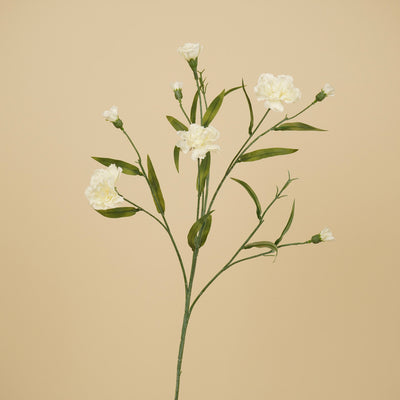Œillet de soie – Crème (70 cm)