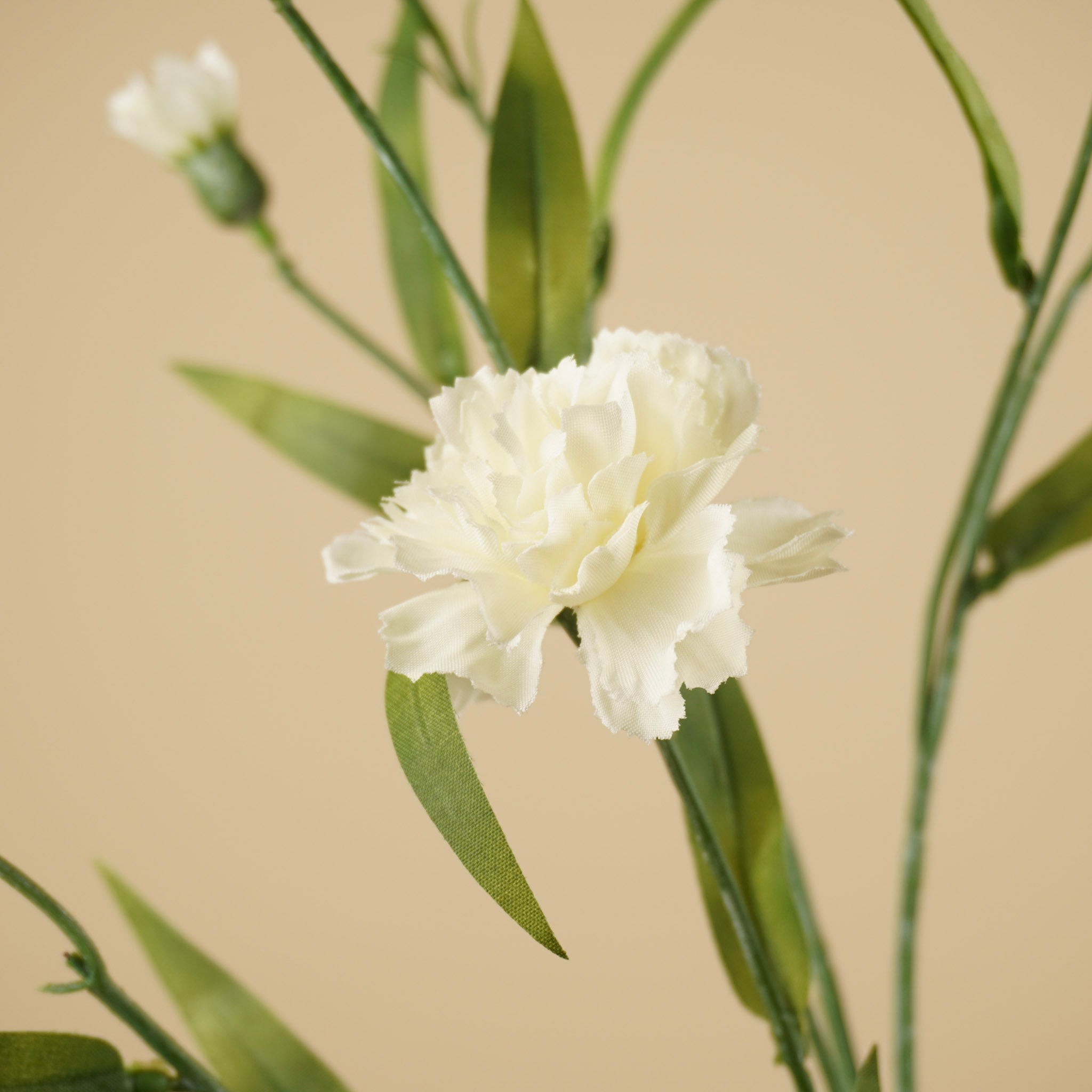 Œillet de soie – Crème (70 cm)