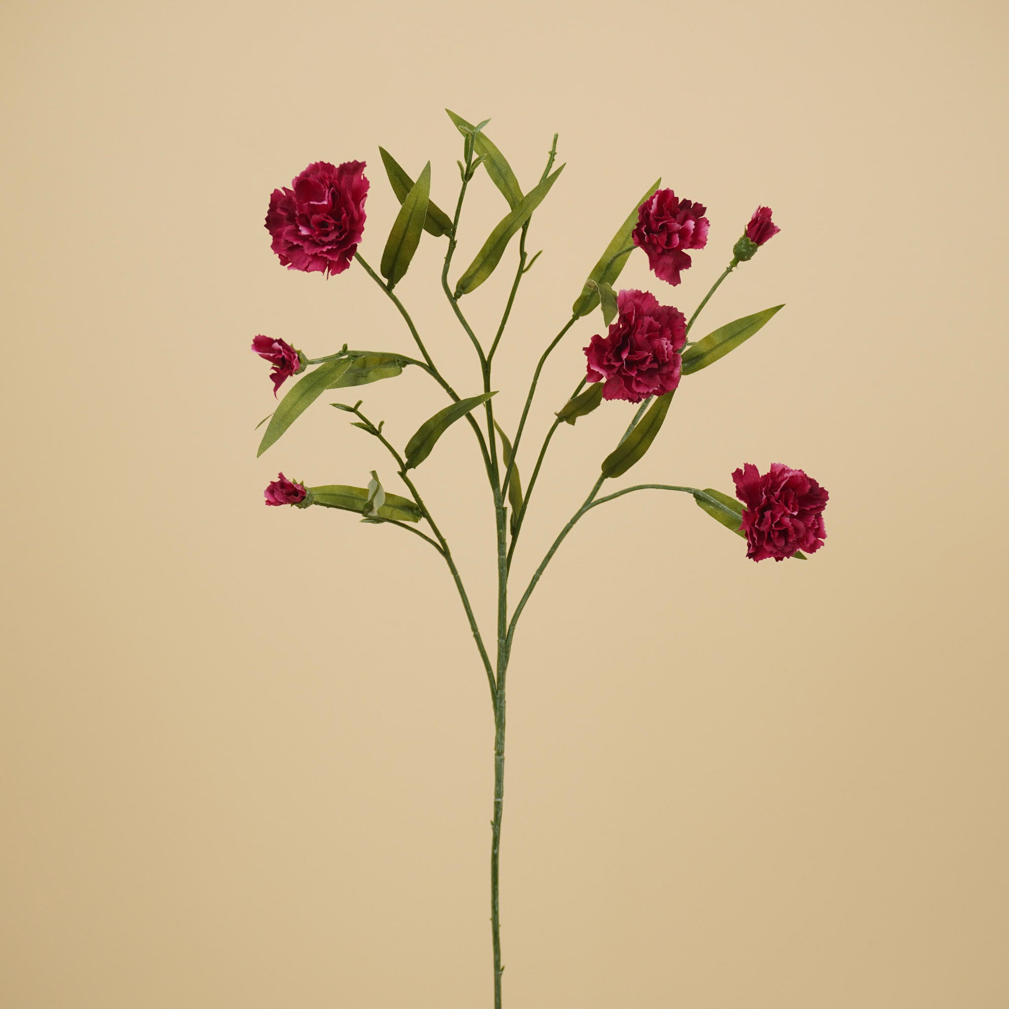 Œillet soyeux – Violet (70 cm)