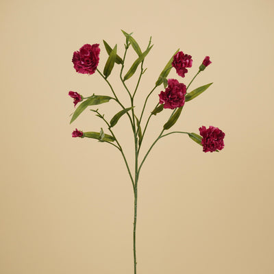 Œillet soyeux – Violet (70 cm)