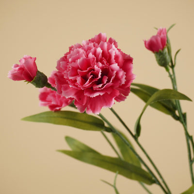 Œillet en soie – Rose (70 cm)
