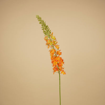 Branche d'Eremurus en soie – Orange chaud (107 cm)