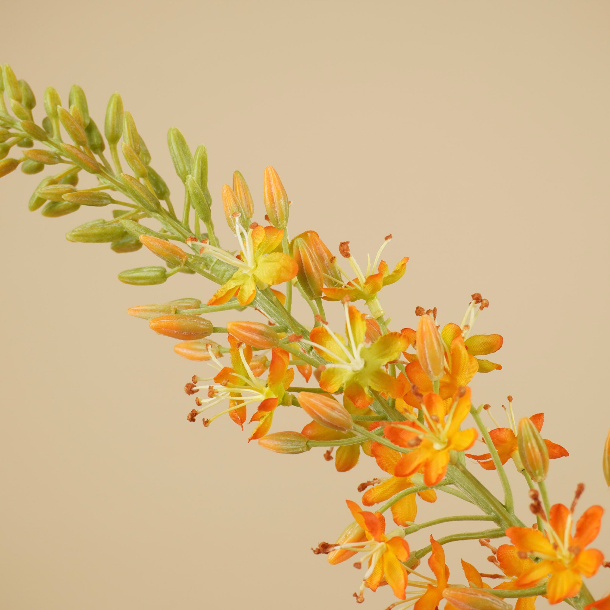 Branche d'Eremurus en soie – Orange chaud (107 cm)