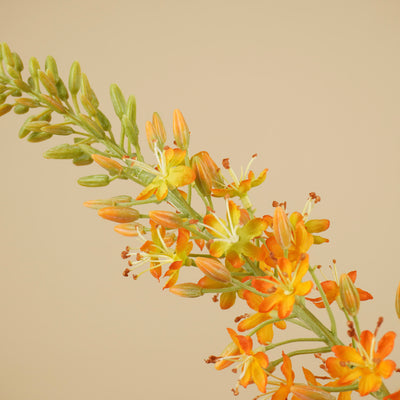 Branche d'Eremurus en soie – Orange chaud (107 cm)