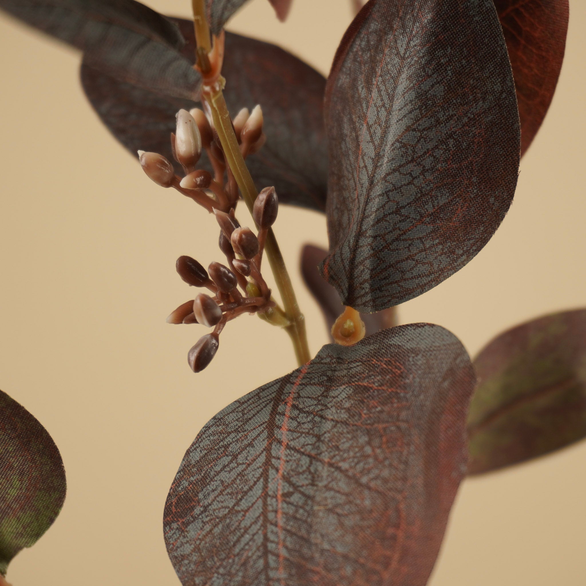 Eucalyptus soyeux – Violet foncé (73 cm)