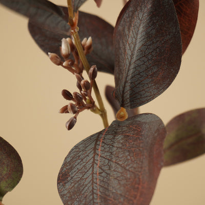 Eucalyptus soyeux – Violet foncé (73 cm)
