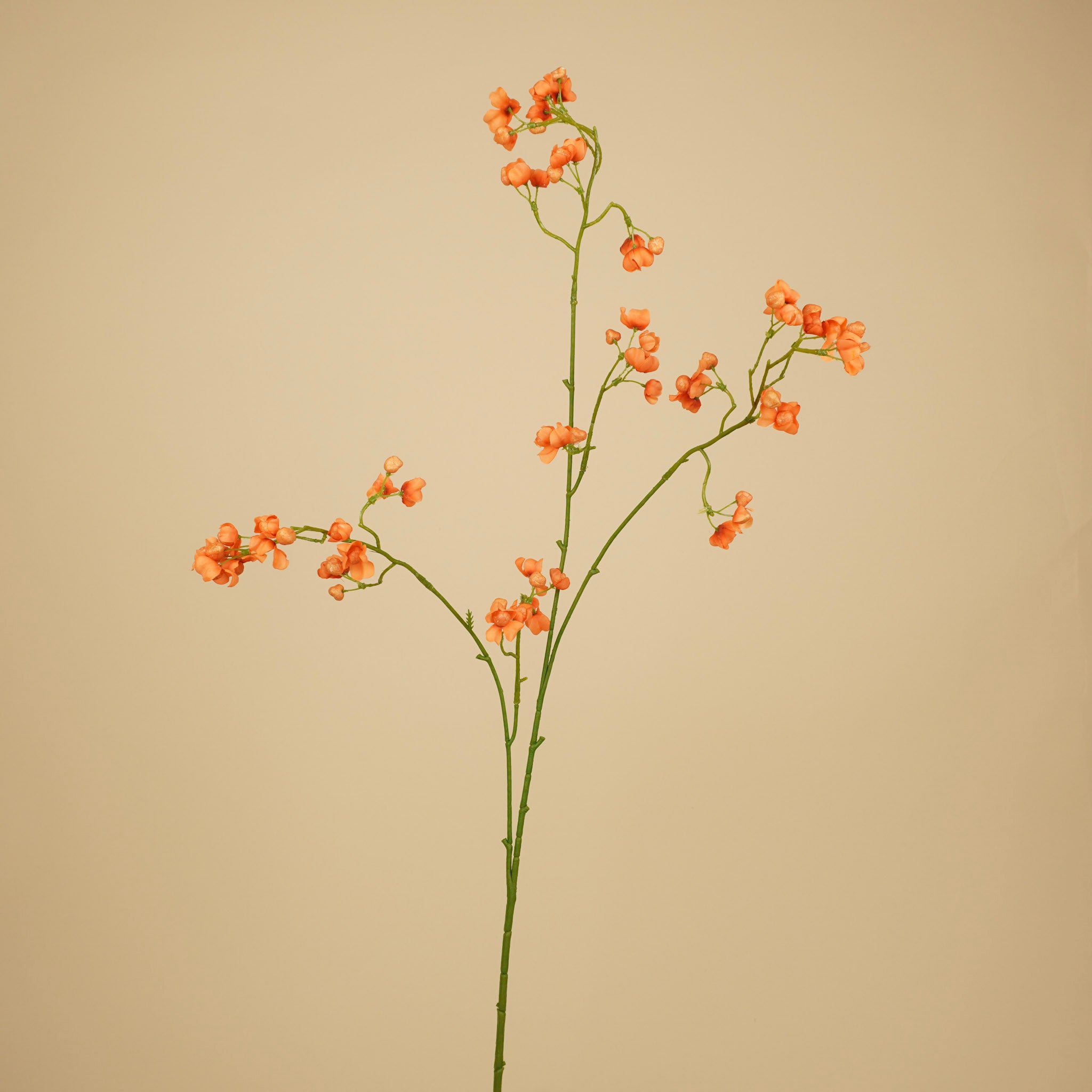Œillet de soie – Crème (70 cm)