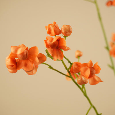 Œillet de soie – Crème (70 cm)