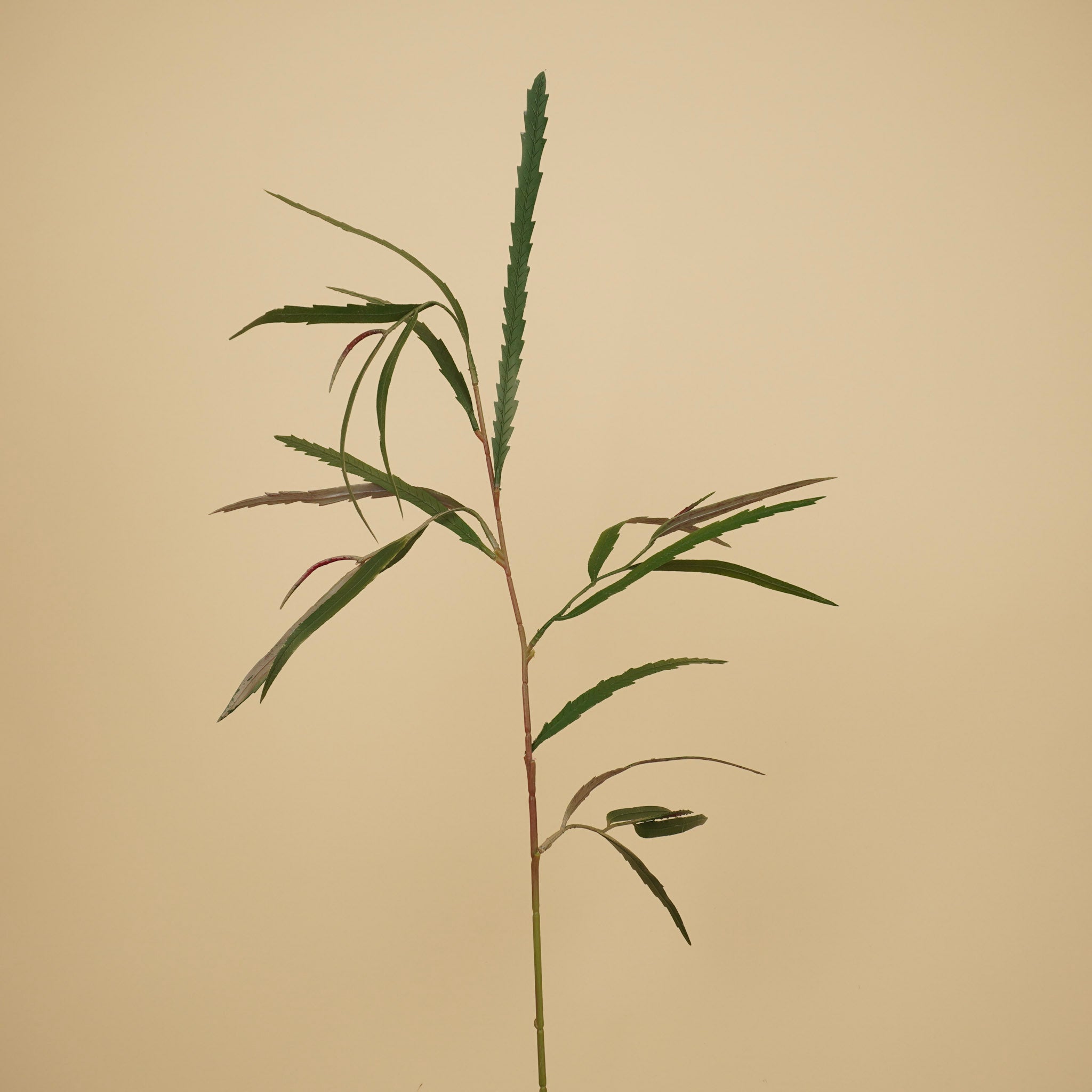 Zijde Grevillea – Groen (85 cm)