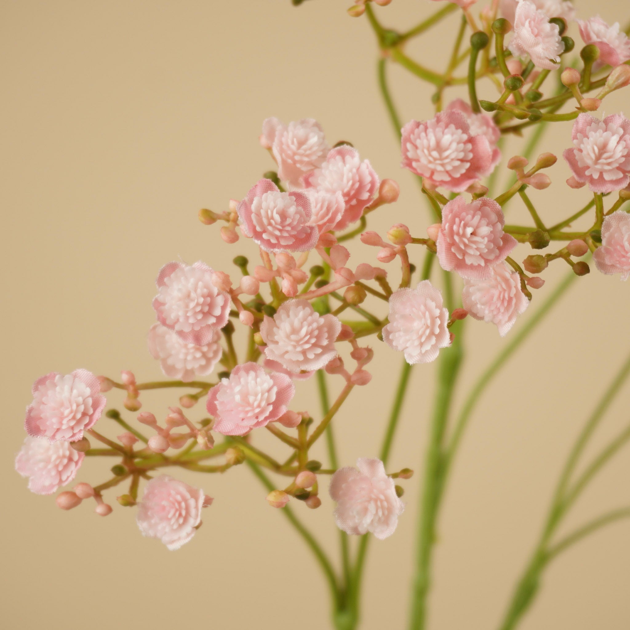 Gypsophile en soie – Rose (68 cm)