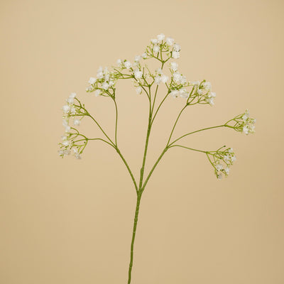 Gypsophile soyeuse – Blanche (68 cm)