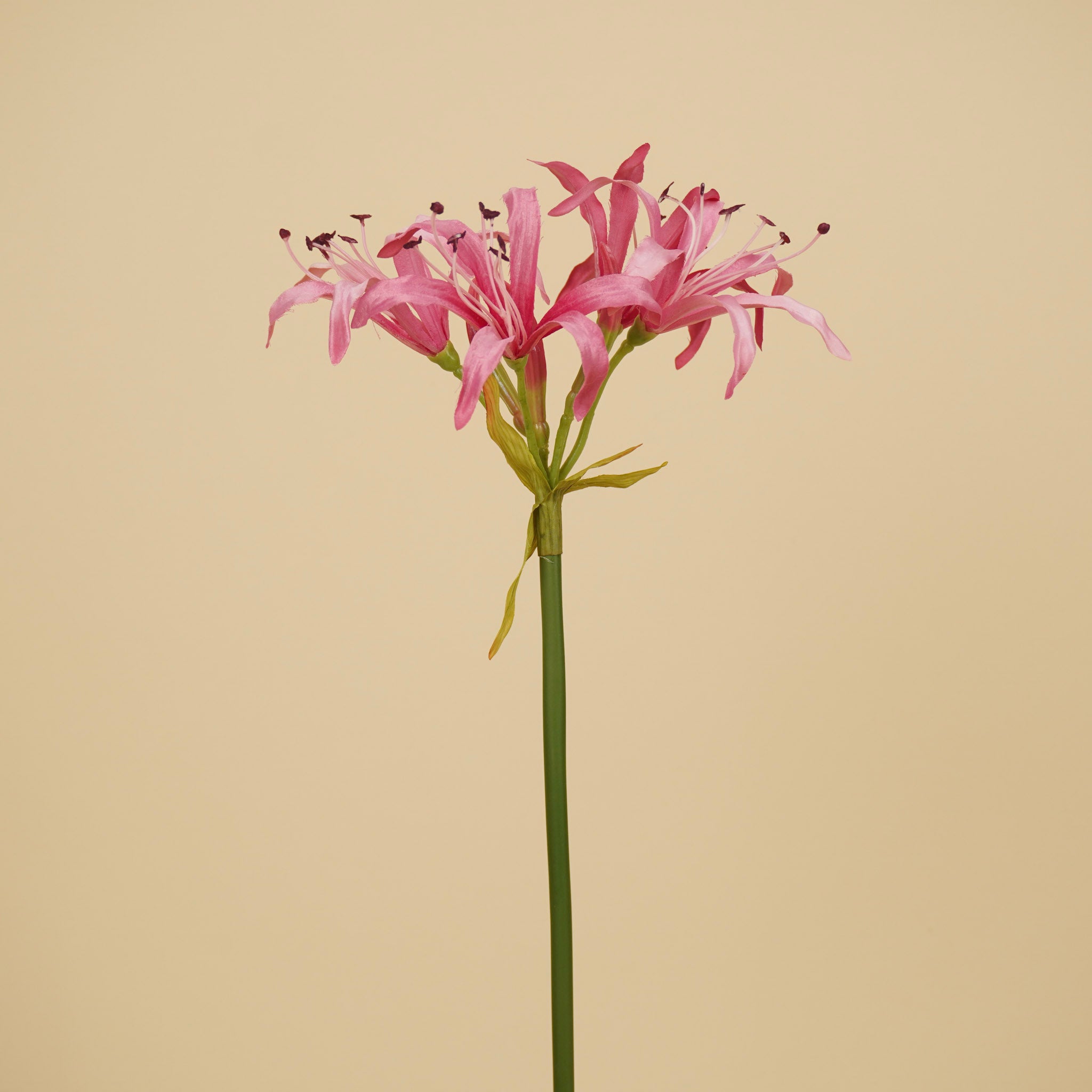 Branche de Nérine en Soie – Rose Tendre (65 cm)