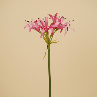 Branche de Nérine en Soie – Rose Tendre (65 cm)