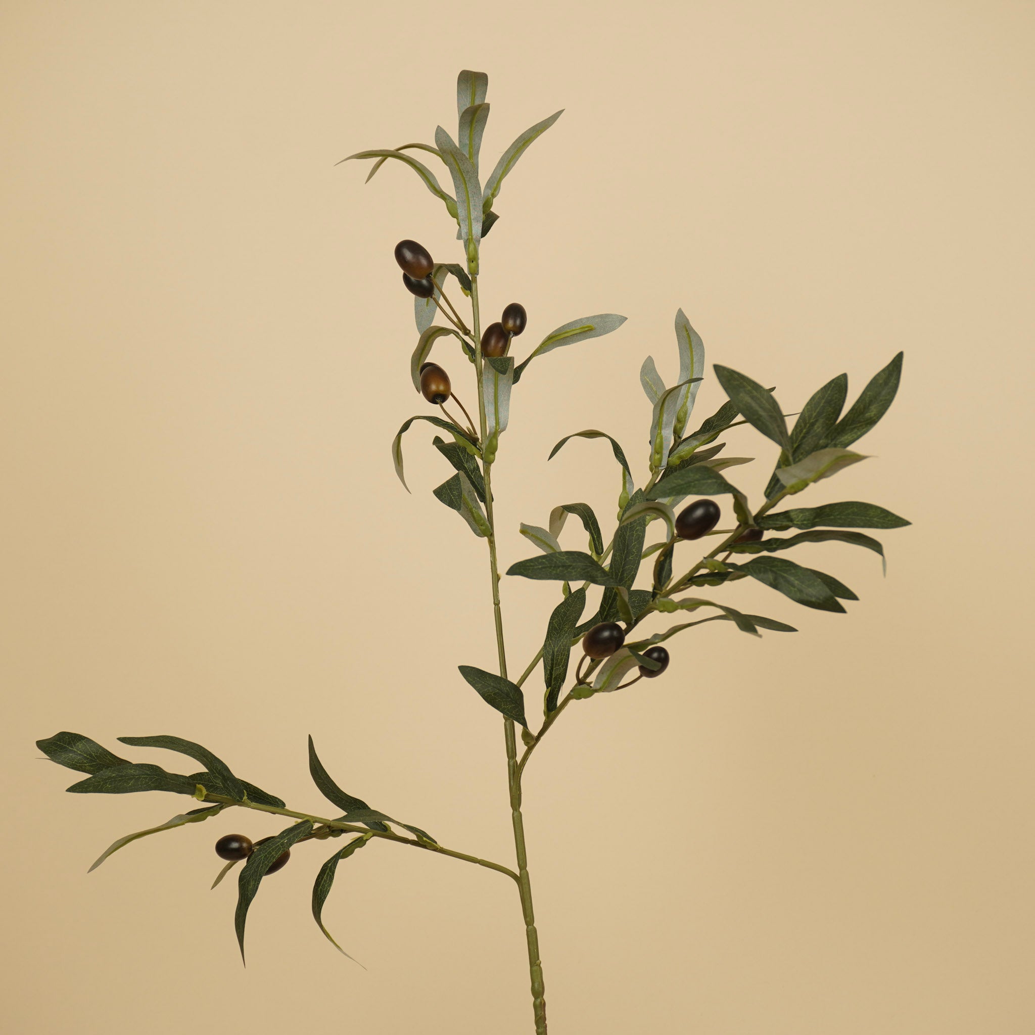 Branche d'olivier en soie – Verte (75 cm)