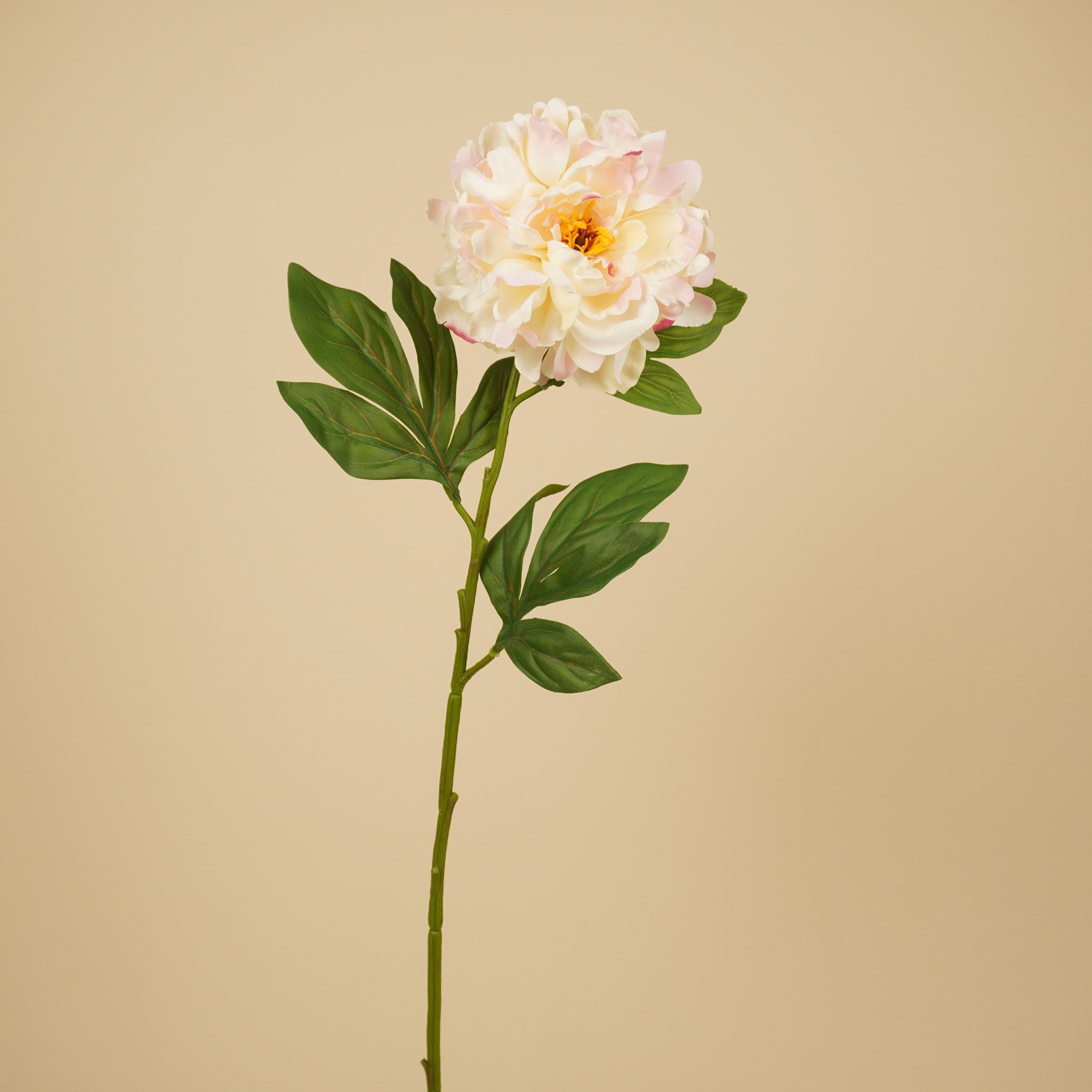 Pivoine en soie – Rose (75 cm)
