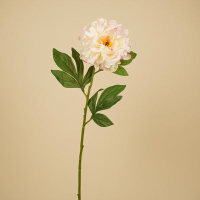 Pivoine en soie – Rose (75 cm)