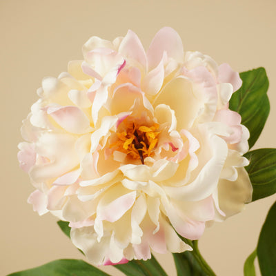 Pivoine en soie – Rose (75 cm)