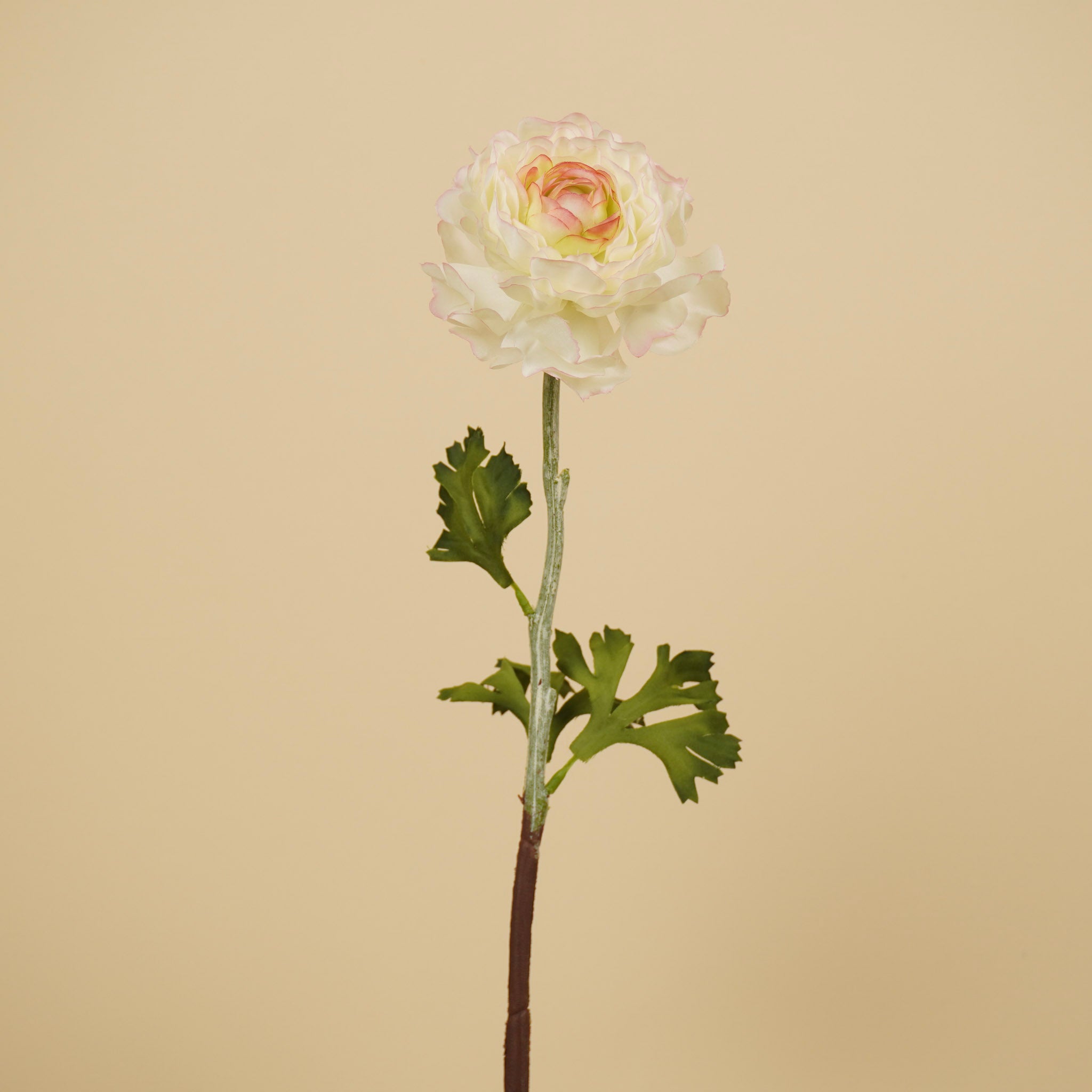 Spray de renoncules en soie – Crème/Rose (50 cm)
