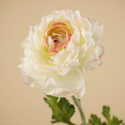 Spray de renoncules en soie – Crème/Rose (50 cm)