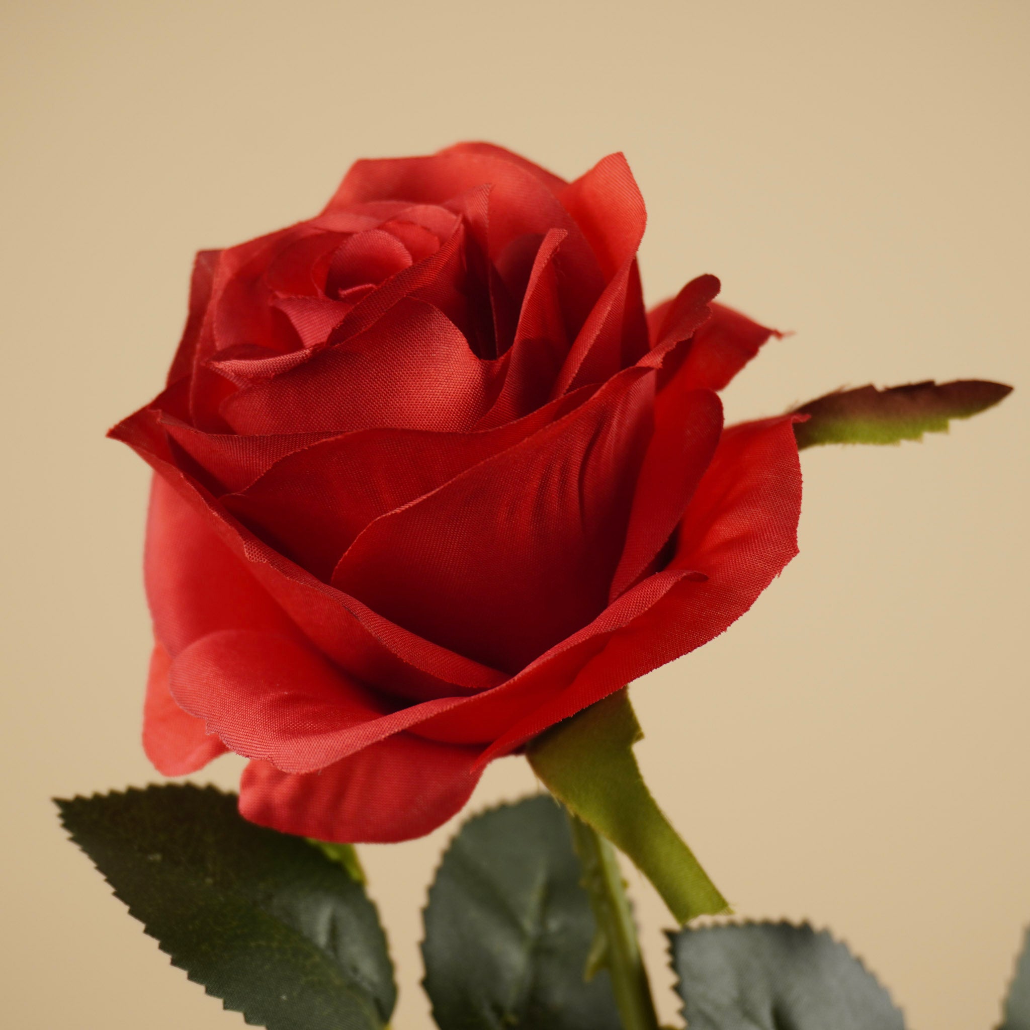 Rose de soie Simone – Rouge foncé (45 cm)