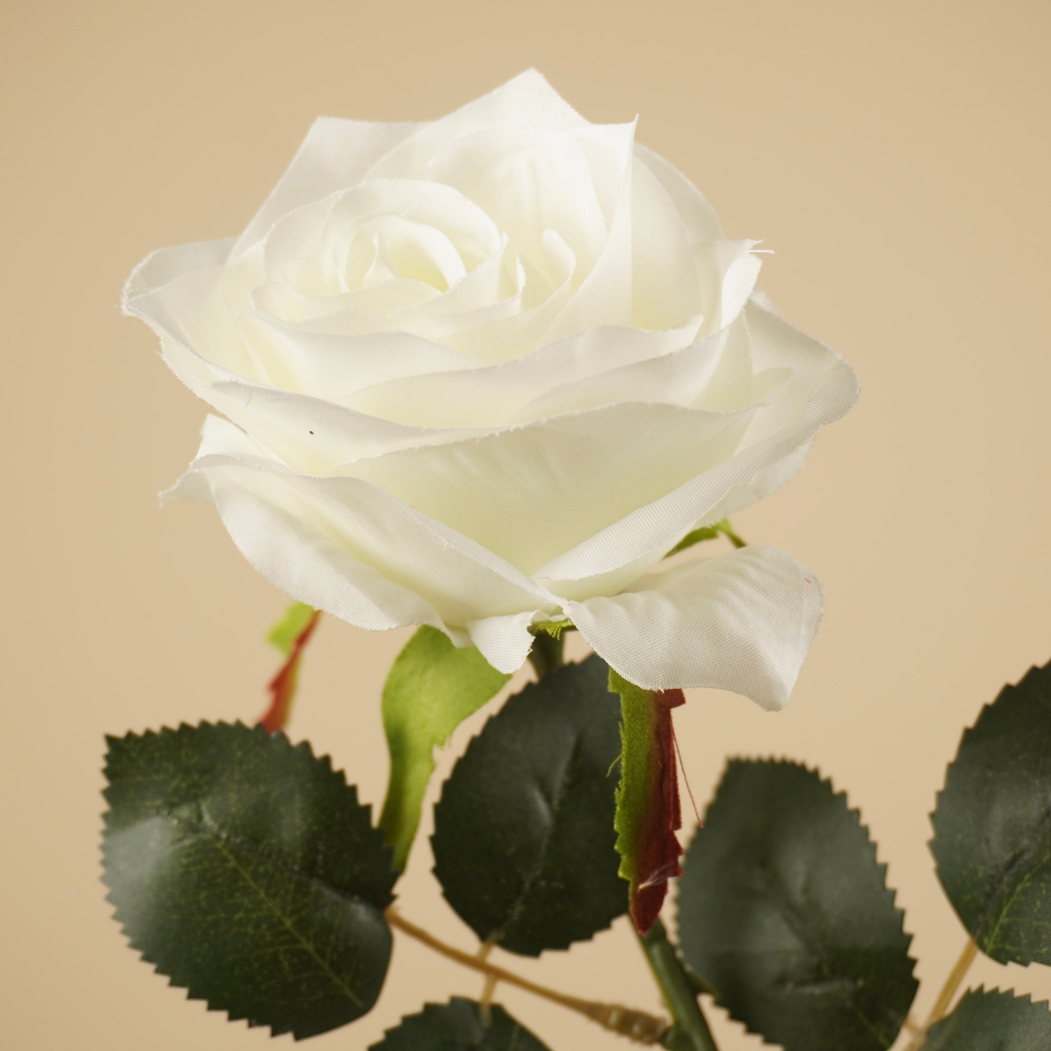 Rose de soie Simone – Blanc ivoire (45 cm)