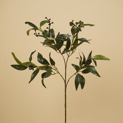 Ruscus soyeux à baies – Vert (57 cm)
