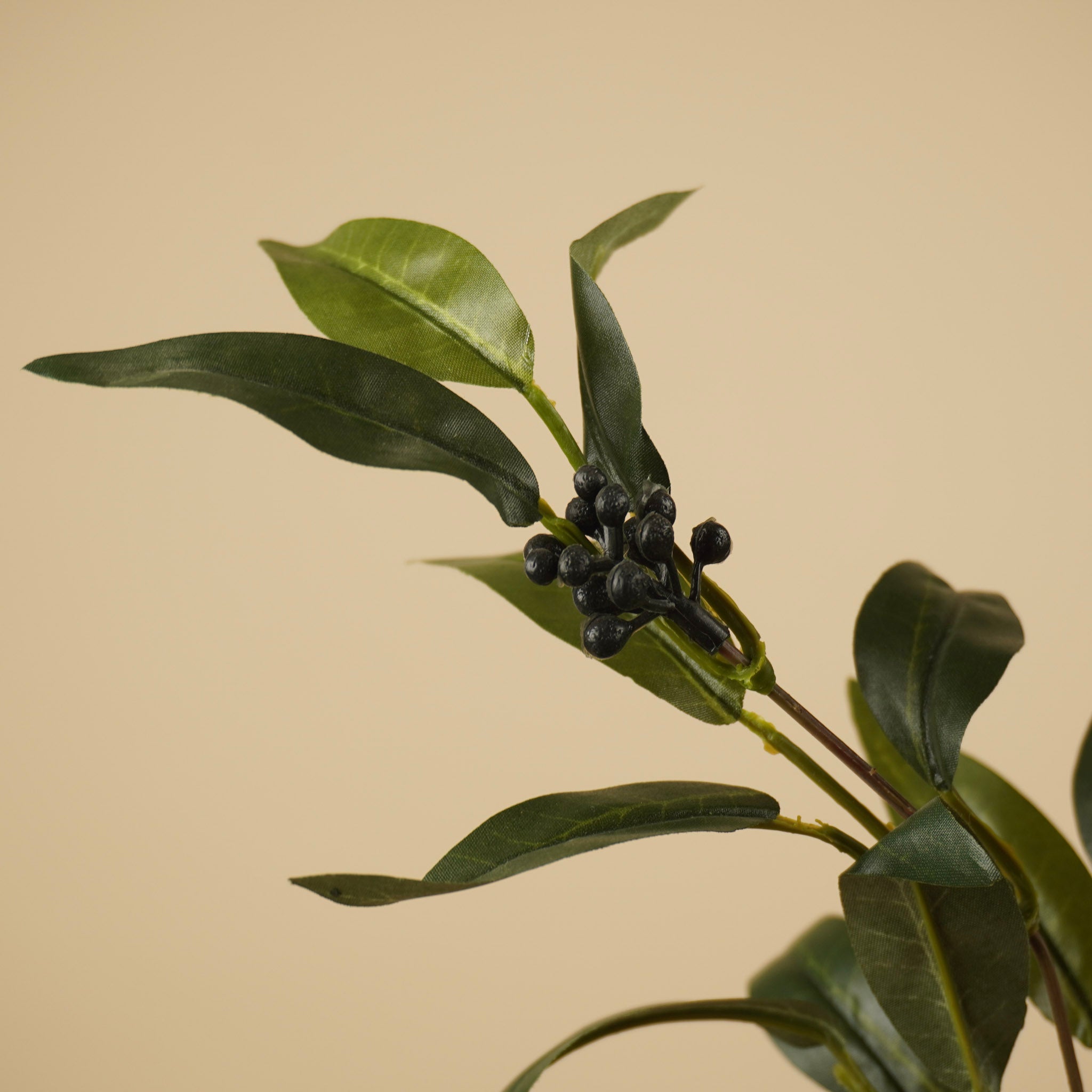 Ruscus soyeux à baies – Vert (57 cm)