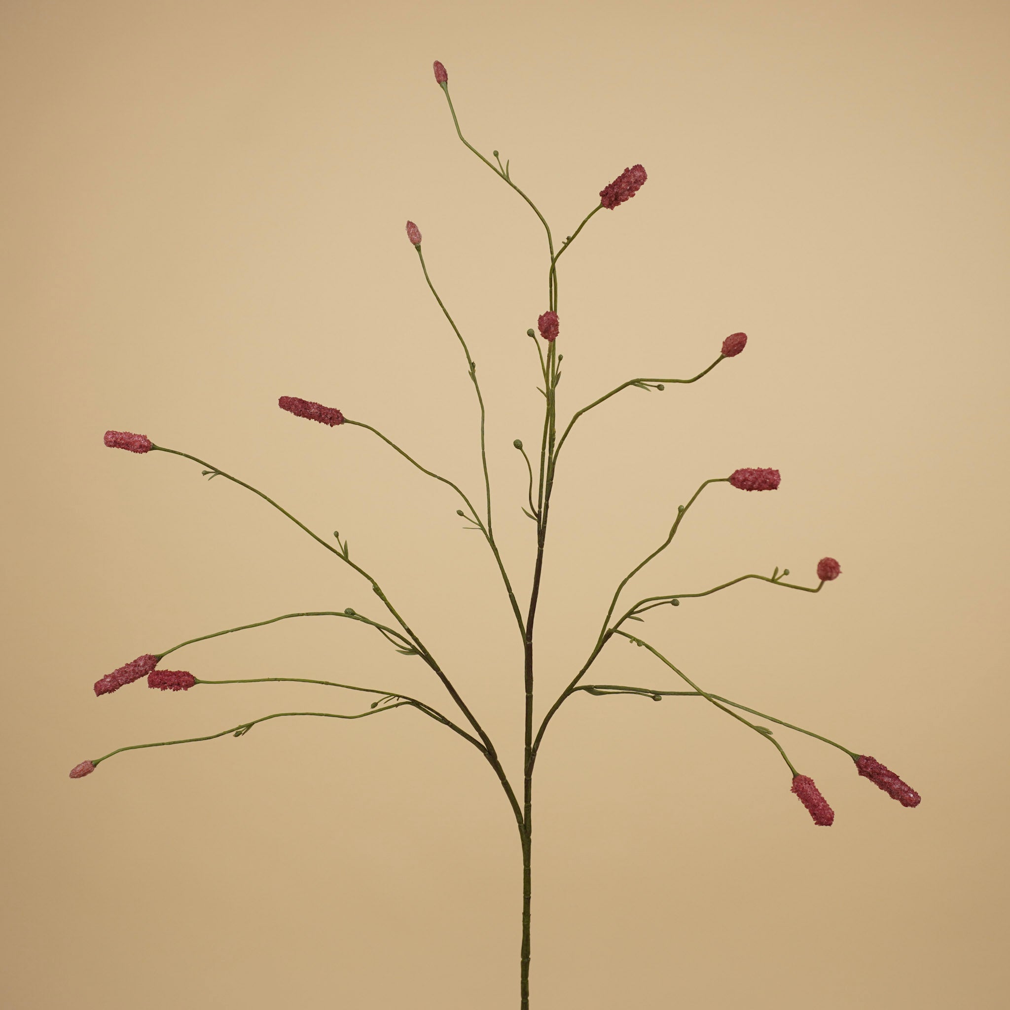 Branche d'Eremurus en soie – Orange chaud (107 cm)