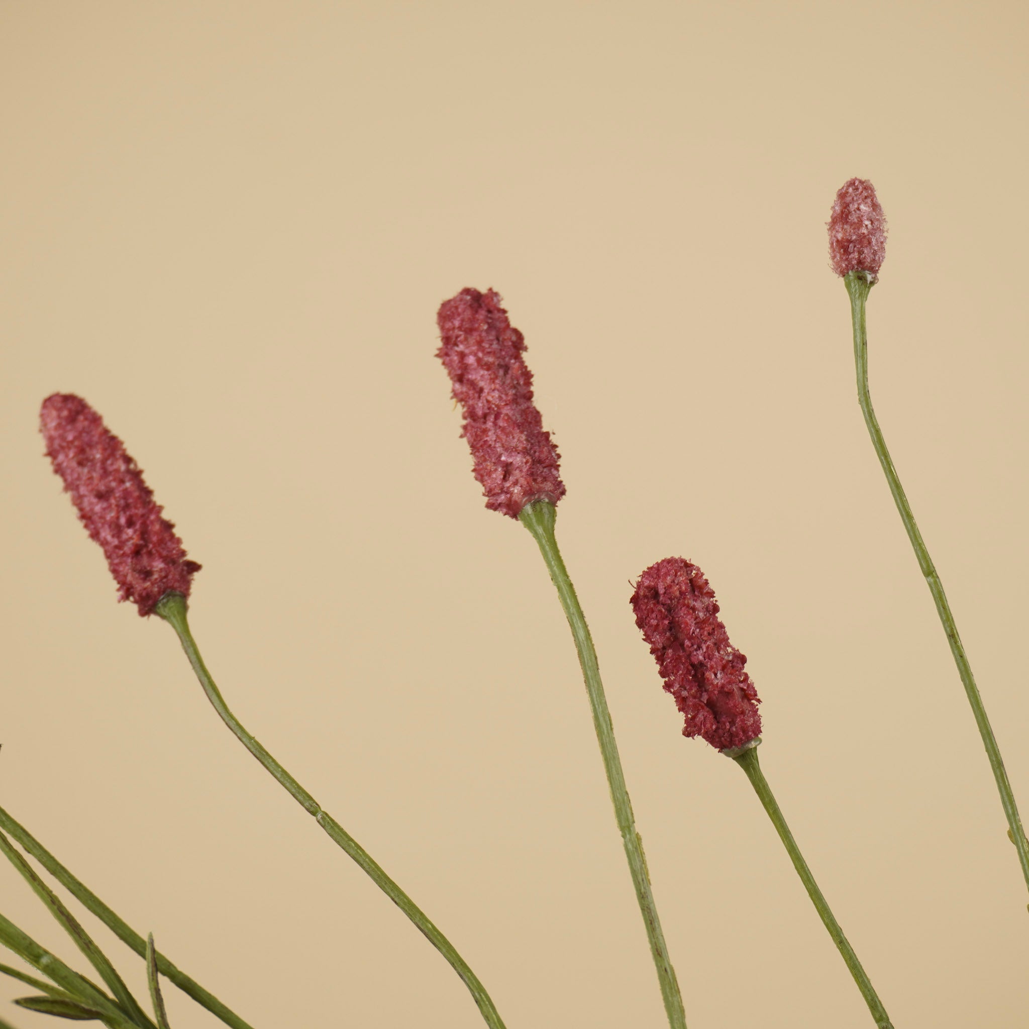 Branche d'Eremurus en soie – Orange chaud (107 cm)