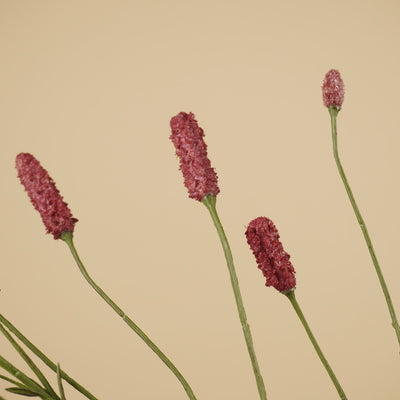 Branche d'Eremurus en soie – Orange chaud (107 cm)