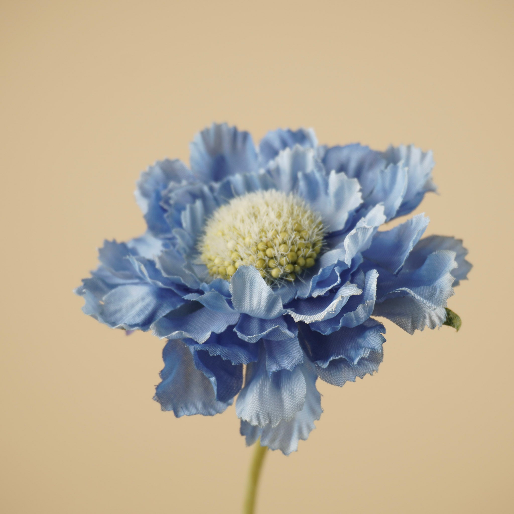 Branche de scabieuse en soie – Bleu clair (63 cm)